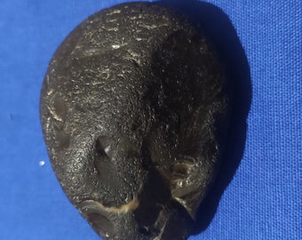 CARBONADO SVART DIAMANT 729,5 Ct Rå Svart Diamantring, Unikt Rustikt Ekologiskt Smycke för Statementgåva
