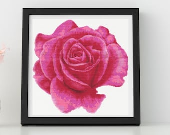 May include: A framed print of a single pink rose with a white background.