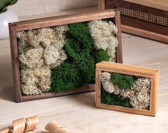 Decoración de pared con musgo - Pequeños adornos de escritorio - Accesorios de escritorio naturales