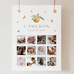 Plantilla para foto de cumpleaños de Little Cute, tablero para foto de primer cumpleaños de Citrus, póster para foto de primer cumpleaños, foto de primer cumpleaños de Clementine