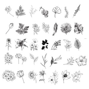 150 botanische SVG-bundel, bloemen SVG-bundel, bloem SVG, botanische SVG, minimalistische botanische SVG, minimalistische SVG, planten SVG, zeer fijne tekeningen. SVG/PNG