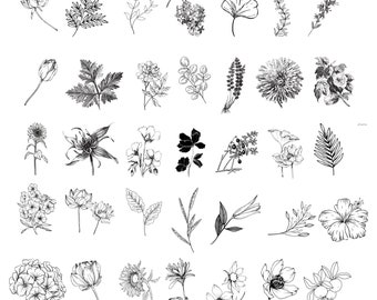 150 Botanical Svg Bundle, Floral Svg Bundle, Flower Svg, Botanic Svg, Minimalist Botanical Svg, Minimalist Svg, Plants Svg,Line Art. SVG/PNG