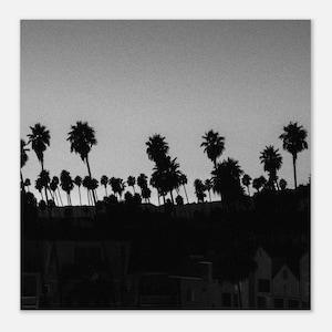 Palm Trees in Beverly Hills, LA - Unframed Photography Print - Wall Art - Home Decor - Black & White Poster - Los Angeles - USA Travel Gift