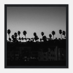 Palm Trees in Beverly Hills, LA - Framed Photography Print - Wall Art - Home Decor - Black & White Poster - Los Angeles - USA Travel Gift
