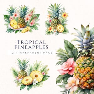 Clipart de flor de piña en acuarela, clipart de fruta tropical, descarga instantánea PNG, material para manualidades de papel, decoración de invitaciones