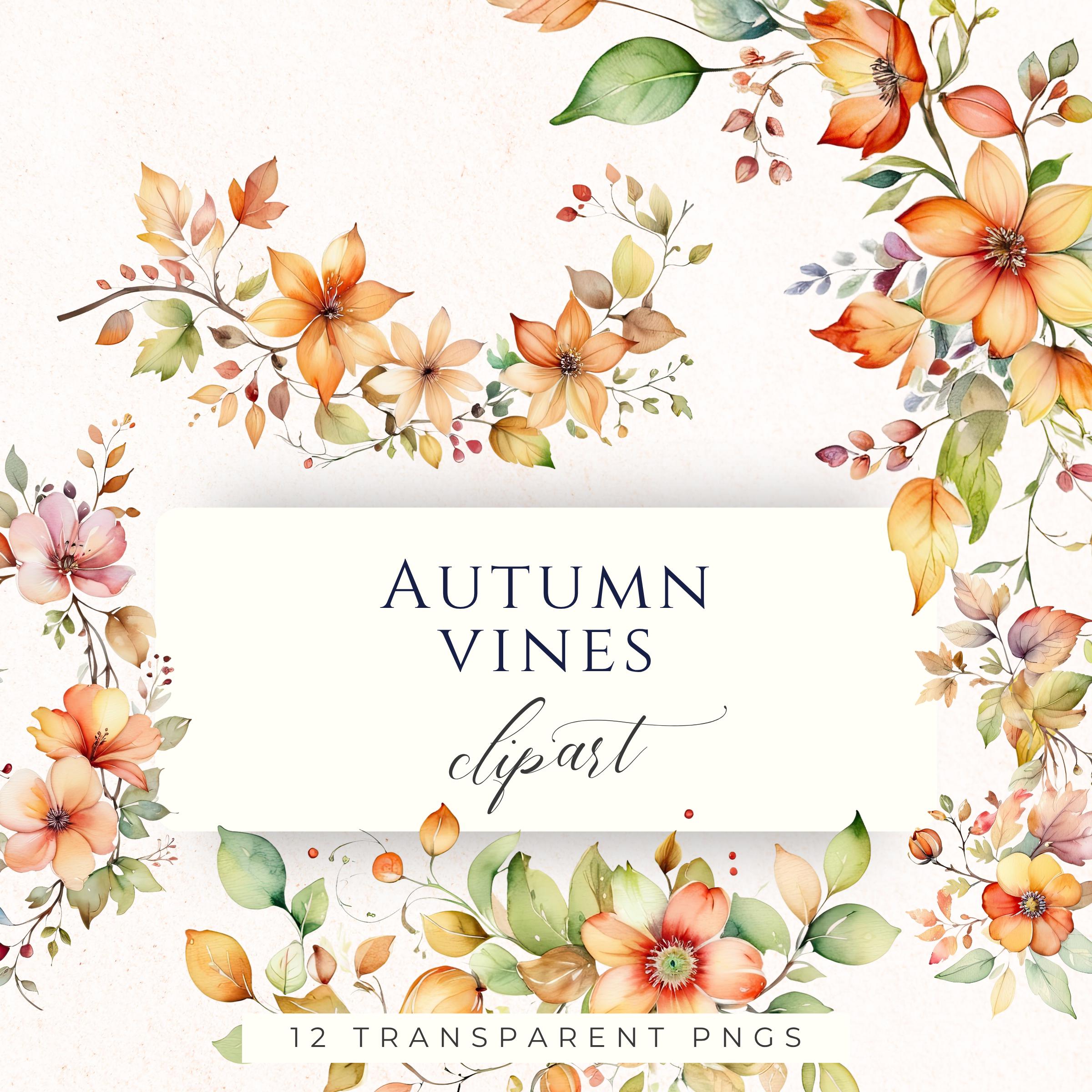 Fall Vine Vector Autumn Fall Vine Watercolor Clipart Set PNG, Seasonal Floral Graphics ...