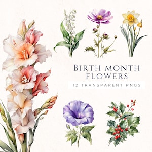 Clipart fleurs mois de naissance, clipart floral, fichiers PNG, aquarelle de fleurs, fond Transparent, clipart anniversaire