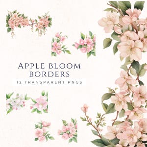 Apple Bloom Flower Border Clipart, Clip Art Floral de Primavera, Clipart de Aquarela, Download Instantâneo PNG, Decoração de Scrapbooking