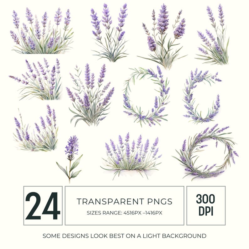 May include: Watercolor illustrations of lavender sprigs and wreaths in various arrangements. The image includes 24 transparent PNGs with sizes ranging from 4516px to 1416px, at 300 DPI. The text on the image says "SOME DESIGNS LOOK BEST ON A LIGHT BACKGROUND."