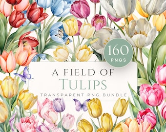 Paquete de imágenes prediseñadas de un campo de tulipanes, archivos PNG transparentes, flores de primavera en acuarela, uso comercial, gráficos florales de descarga instantánea.