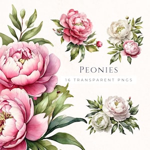 Clipart pivoine aquarelle, clipart floral, bouquet de pivoines à téléchargement immédiat, fleurs roses, fichiers image décoratifs, PEO001