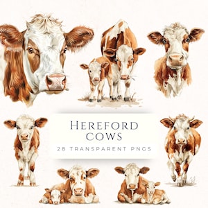 Hereford Cow Clipart, Watercolor Clipart, PNG Instant Download, Farmhouse Decor, Cow and Calf, Farm Animals