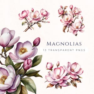Watercolor Magnolia Clipart PNG, Floral Clip Art No Background, Spring Flowers Scrapbooking, Pink Magnolia Branches Decorations