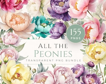 Paquete completo de imágenes prediseñadas de peonías, archivos PNG transparentes, flores de peonía en acuarela, uso comercial, gráficos florales para bodas, descarga instantánea.