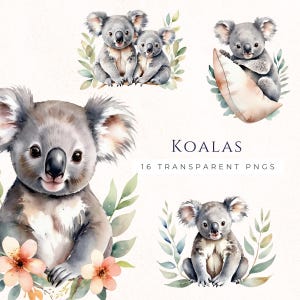 Watercolor Koala Clipart Instant Download PNG, Australian Animal Graphics, Scrapbooking Paper Craft, Commercial Use