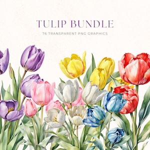Colorful Spring Tulip Clip Art Bundle, Watercolor Flower Illustration, Floral Clipart Pack, Instant Download PNG, TUL009