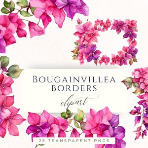 May include: Watercolor bougainvillea borders in shades of pink and purple, with green leaves. The image includes a square floral frame and floral arrangements around the text "BOUGAINVILLEA BORDERS clipart" and "25 TRANSPARENT PNGS".