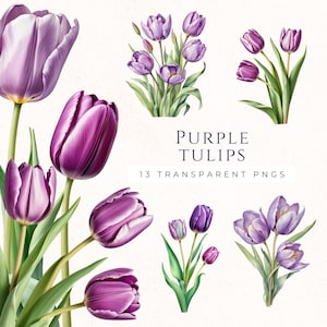Clipart di tulipani viola, disegno floreale ad acquerello, clipart di fiori primaverili, download immediato, PNG di tulipani, TUL002