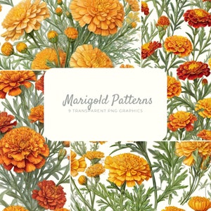 Marigold Flower Pattern, Transparent Floral Clipart, Orange Flower Digital Graphics, Instant Download, October Floral Art