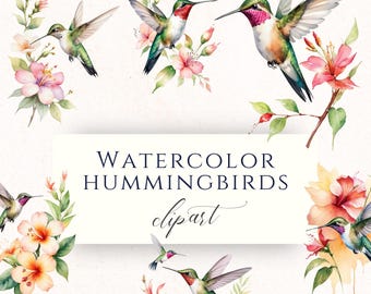 Hummingbird Watercolor Clipart PNG, Nature Bird Graphics for Scrapbooking, Cardmaking and Paper Crafting