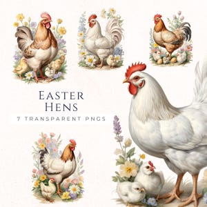 Clipart poule de Pâques, poulet aquarelle vintage PNG, ensemble de décoration printanière, décorations de Pâques, EAS002