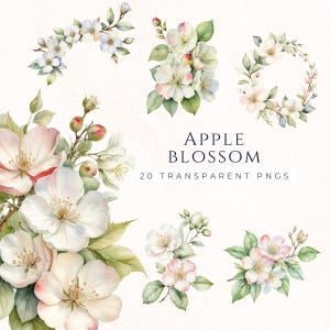 Clipart vintage di fiori di mela, Clip art di delicati fiori primaverili, Grafica floreale per album, Artigianato di carta, Forniture per la creazione di biglietti