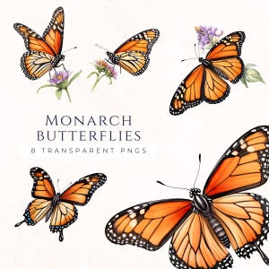 Monarch Butterfly Clipart, Arquivos PNG de Clip Art de Borboleta Laranja, Gráficos de Insetos de Verão, Download Instantâneo, Visuais de Convite Digital, BUF011