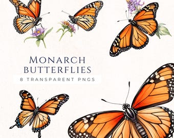 Monarch Butterfly Clipart, Orange Butterfly Clip Art PNG Files, Summer Insect Graphics, Instant Download, Digital Invitation Visuals, BUF011