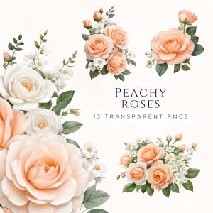 Aquarelle roses pêches Clip Art, décoration florale, images à téléchargement immédiat, Clipart Couronne, décoration florale numérique