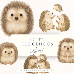 May include: Watercolor clipart featuring adorable hedgehogs in various poses. The image includes a smiling hedgehog, a family of hedgehogs, and the text "CUTE HEDGEHOGS clipart" with "12 TRANSPARENT PNGS" below.