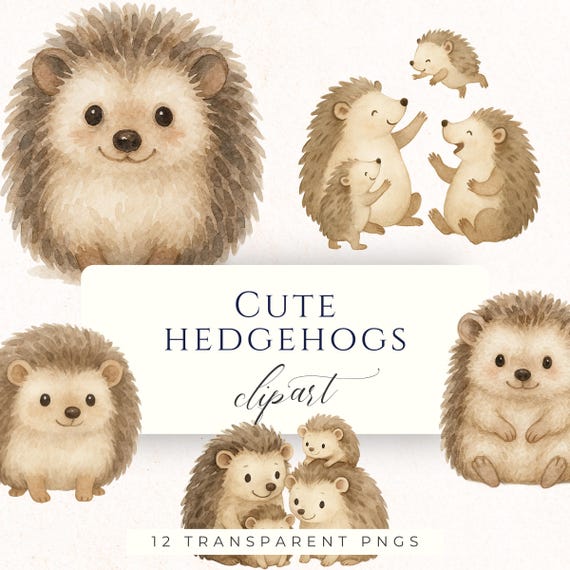Watercolor Hedgehog Clipart PNG, Cute Wildlife Graphics for Junk Journals, Scrapbooking and Cardmaking