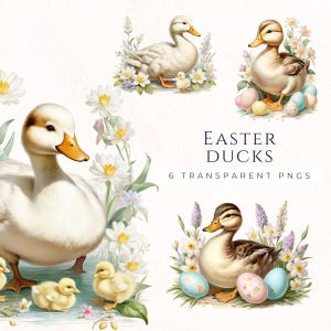 Vintage Pâques canard Clipart, fichiers PNG aquarelle printemps, téléchargement immédiat, décoration d'oeuf de Pâques, illustration de caneton, EAS004