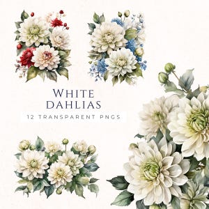 Dahlia blanc Clipart aquarelle PNG, décoration de mariage art floral, clipart floral fond transparent, carte Decor graphiques