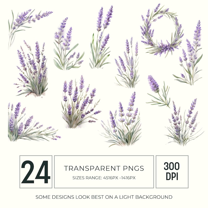 May include: Watercolor illustrations of lavender sprigs and arrangements in various forms. The image includes a lavender wreath, bouquets, and individual stems, all in shades of purple and green. Text on the image indicates 24 transparent PNGs with a size range of 4516px-1416px.