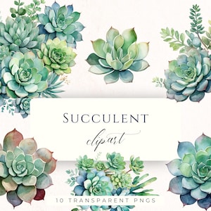 May include: Watercolor succulent clipart featuring various green, blue, and reddish-brown succulents. The image includes individual plants and arrangements, with the text "SUCCULENT clipart" and "10 TRANSPARENT PNGS".