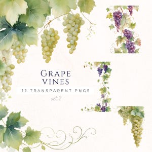 Aquarel grapevine clipart, decoratieve png-graphics, fruit illustraties, instant download, bruiloft scrapbooking afbeeldingen