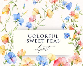 Imágenes prediseñadas de flor de guisante de olor en acuarela, archivos PNG, gráficos botánicos, descarga instantánea, uso comercial, ilustraciones florales
