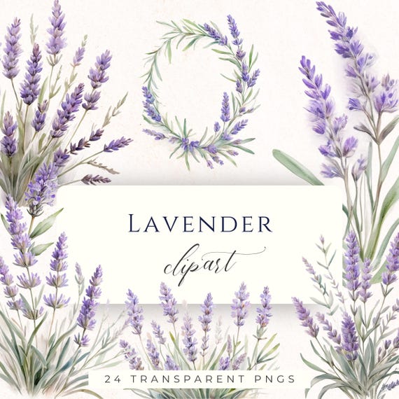 Lavender Clipart PNG, Purple Botanical Watercolor Graphics for Wedding Scrapbooking and Cardmaking
