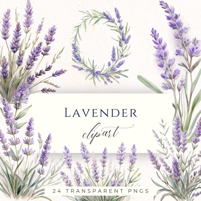 Lavender Clipart PNG, Purple Botanical Watercolor Graphics for Wedding Scrapbooking and Cardmaking image 1