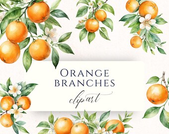 Citrus Orange Branch Watercolor Clipart PNG, Summer Fruit Graphics for Junk Journals, Scrapbooking and Cardmaking