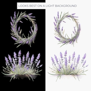 Lavender Clipart PNG, Purple Botanical Watercolor Graphics for Wedding Scrapbooking and Cardmaking image 7