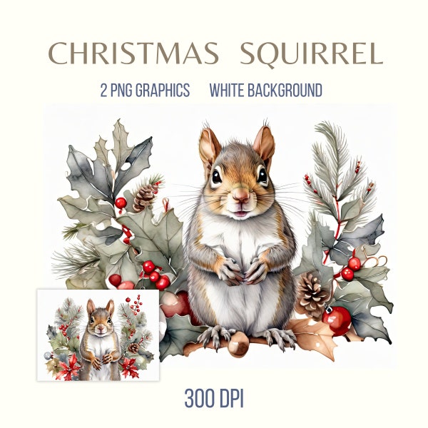 Grey Squirrel Clipart, Christmas Decor, Watercolor Forest Animals, Holiday Clip Art, White Background PNG Files