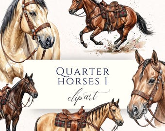 Imágenes prediseñadas de caballos Quarter Horse en acuarela, arte ecuestre occidental transparente, ilustraciones de caballos de monta.