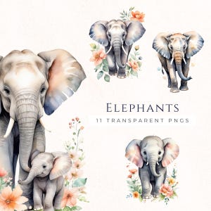 Elefante de acuarela PNG, arte animal de safari con elefante bebé, decoración floral de vida silvestre, imágenes de descarga instantánea, fondo transparente