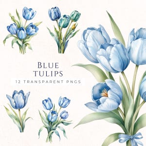 Clipart aquarel tulpen, blauw bloemdessin, lentebloem illustraties, instant download, tulp png, TUL006