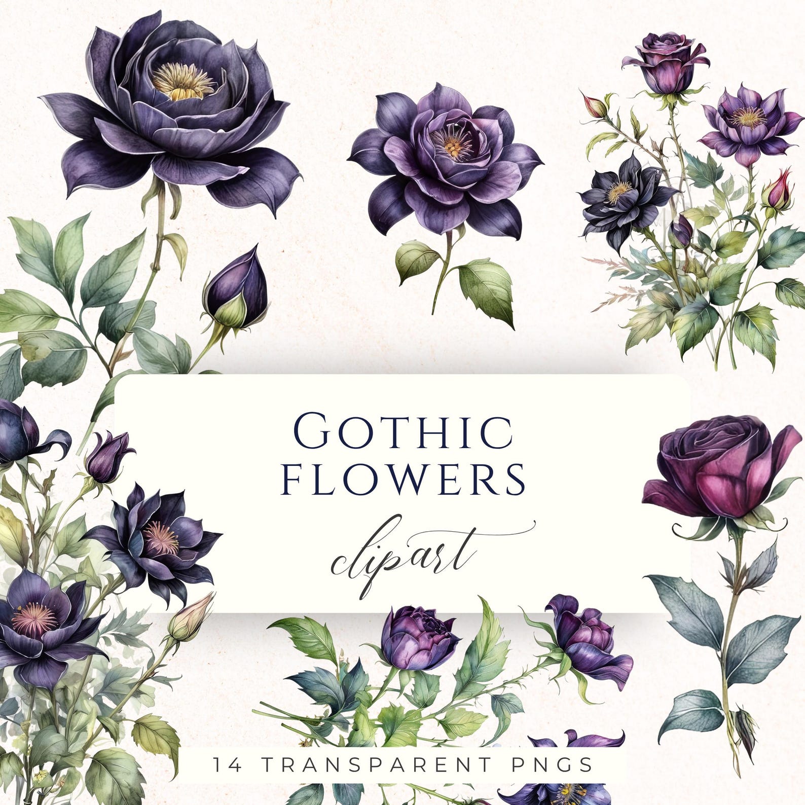 Dark Purple Gothic Flower Clipart PNG, Moody Floral Graphics for Junk ...