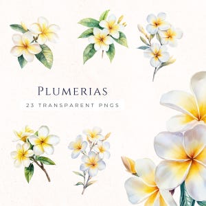 Clipart frangipani, tropische bloemen, tuinclipart, plumeriabloem, papierkunst, plakboekafbeeldingen, voorraad kaarten maken
