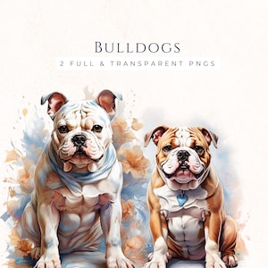 English Bulldog Clipart Set, Watercolor Dog PNG Images, Instant Download for Scrapbooking, Card Making, Dog Lover Gift, DO004