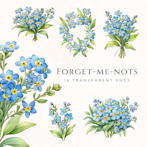 Clipart vergeetbloem, kleine blauwe bloemen, plakboekafbeeldingen, voorraad kaarten maken, aquarel bloemen, afbeeldingen wilde bloemen