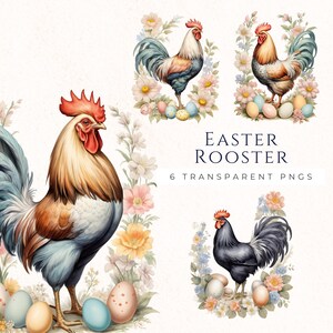 Vintage Pâques coq Clipart, fichiers PNG printemps, décoration de Pâques, téléchargement immédiat, clipart aquarelle, EAS003